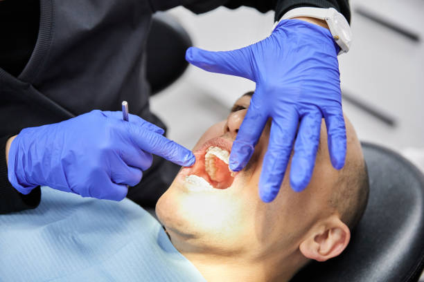 Best Emergency Dental Care for Broken or Chipped Teeth in Sheridan, IL